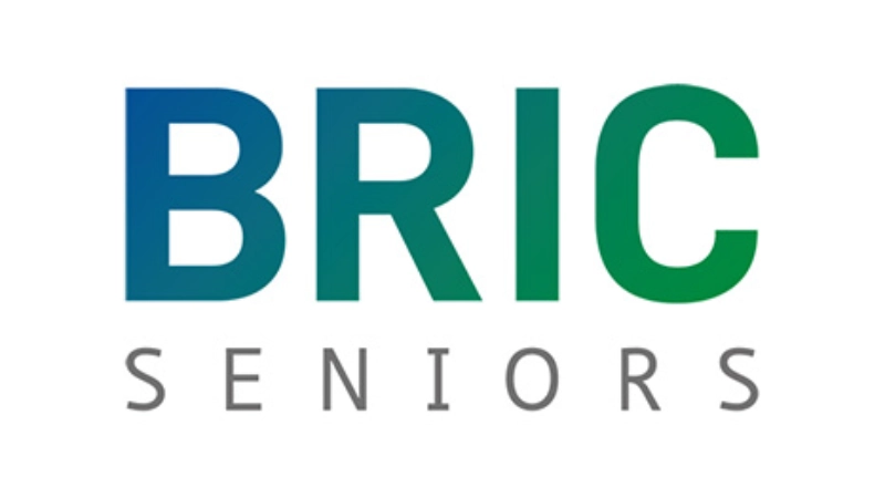 bric-vignette